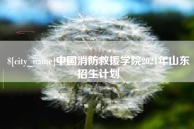 新疆中国消防救援学院2021年山东招生计划