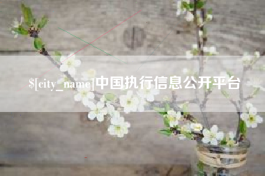 新疆中国执行信息公开平台