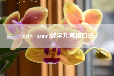 新疆数字九宫格玩法