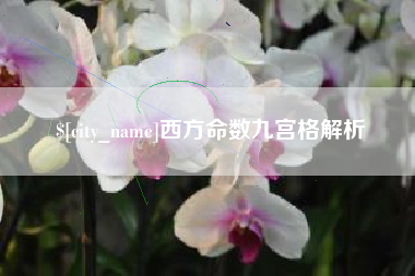 新疆西方命数九宫格解析