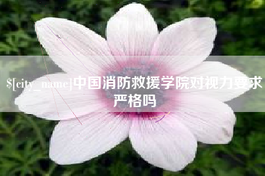 新疆中国消防救援学院对视力要求严格吗