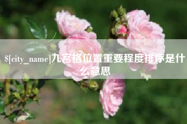 新疆九宫格位置重要程度排序是什么意思