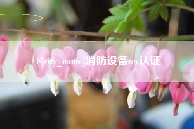 新疆消防设备ccc认证