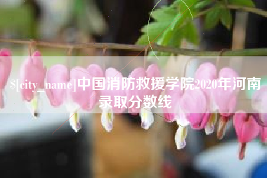 新疆中国消防救援学院2020年河南录取分数线