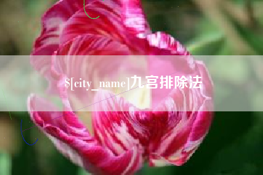 新疆九宫排除法