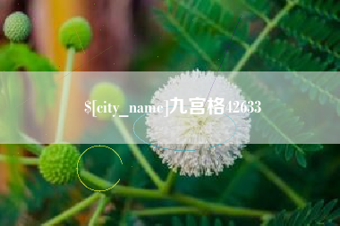 新疆九宫格42633
