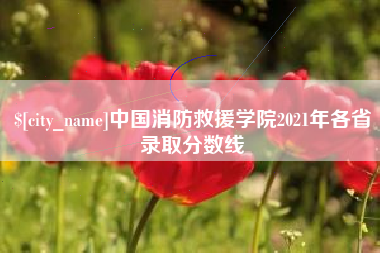新疆中国消防救援学院2021年各省录取分数线