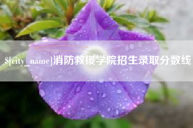 新疆消防救援学院招生录取分数线