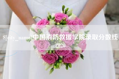 新疆中国消防救援学院录取分数线2020