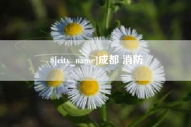 新疆成都 消防
