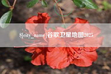 新疆谷歌卫星地图2025
