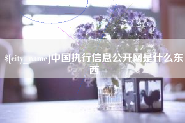 新疆中国执行信息公开网是什么东西