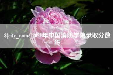 新疆2021年中国消防学院录取分数线