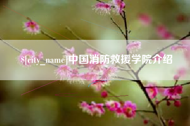 新疆中国消防救援学院介绍