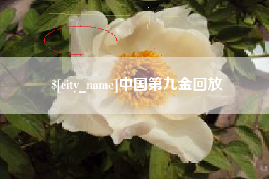 新疆中国第九金回放