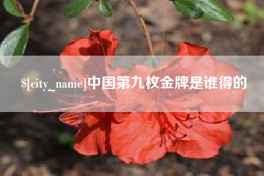 新疆中国第九枚金牌是谁得的