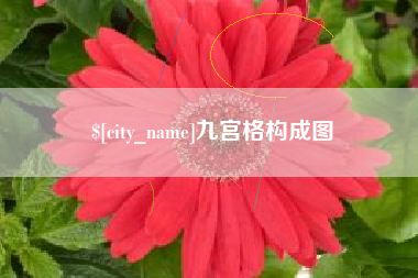新疆九宫格构成图