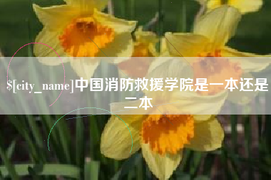 新疆中国消防救援学院是一本还是二本