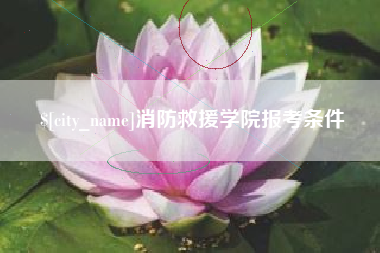 新疆消防救援学院报考条件