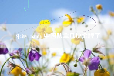 新疆中国队拿几块金牌了