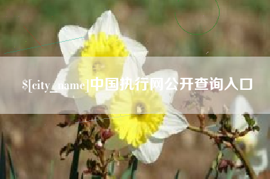 新疆中国执行网公开查询入口