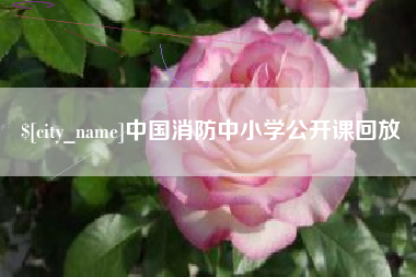 新疆中国消防中小学公开课回放
