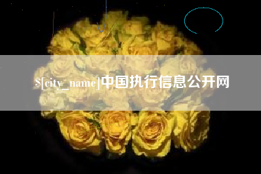 新疆中国执行信息公开网