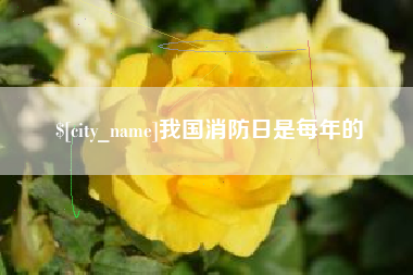 新疆我国消防日是每年的