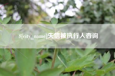 新疆失信被执行人杳询