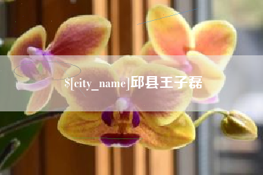 新疆邱县王子磊
