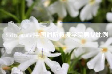 新疆中国消防救援学院男女比例