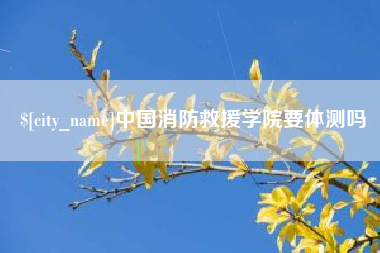 新疆中国消防救援学院要体测吗