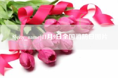 新疆11月9日全国消防日图片
