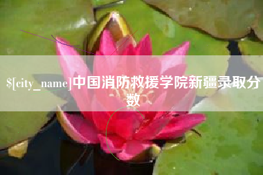 新疆中国消防救援学院新疆录取分数