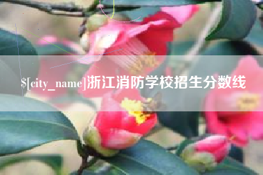 新疆浙江消防学校招生分数线