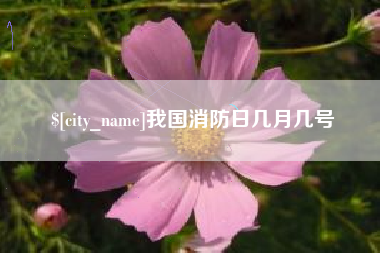 新疆我国消防日几月几号