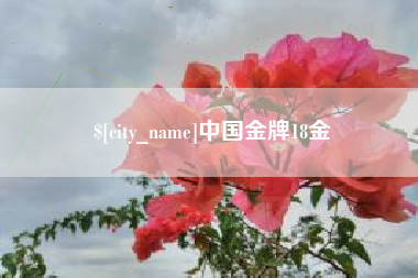 新疆中国金牌18金
