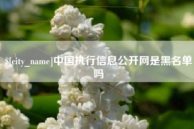 新疆中国执行信息公开网是黑名单吗