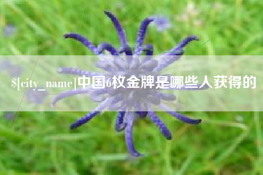 新疆中国6枚金牌是哪些人获得的