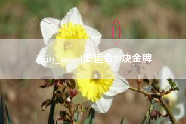 新疆奥运会39块金牌