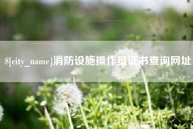 新疆消防设施操作员证书查询网址