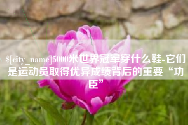 新疆5000米世界冠军穿什么鞋-它们是运动员取得优异成绩背后的重要“功臣”
