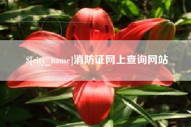 新疆消防证网上查询网站