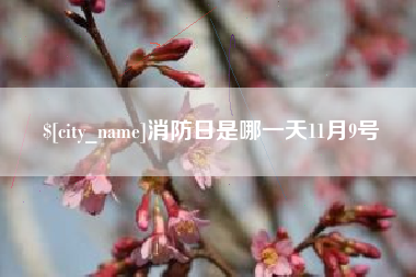 新疆消防日是哪一天11月9号