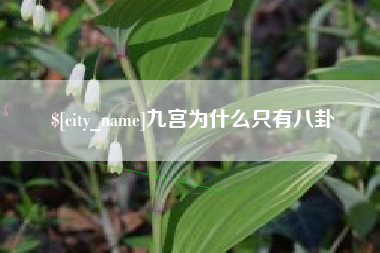 新疆九宫为什么只有八卦
