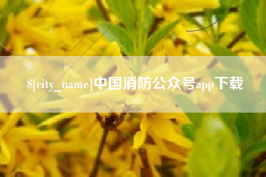 新疆中国消防公众号app下载