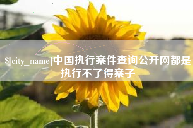 新疆中国执行案件查询公开网都是执行不了得案子