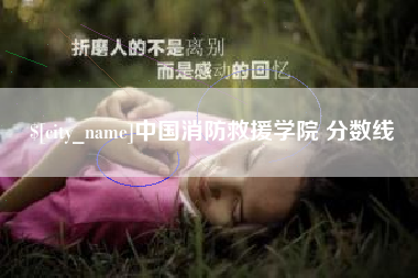 新疆中国消防救援学院 分数线