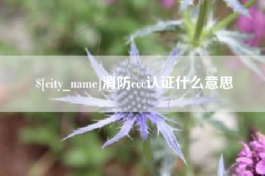 新疆消防ccc认证什么意思