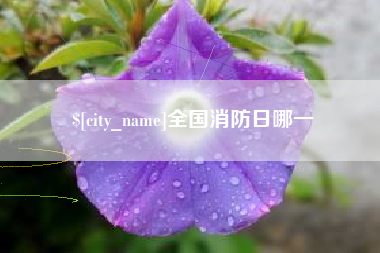 新疆全国消防日哪一